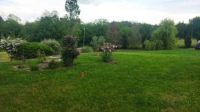 Chambre avec entrée indépendante dans un écrin de verdure